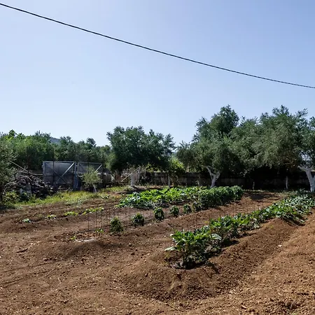 Casolare Di Costas Βίλα Αργοστόλι