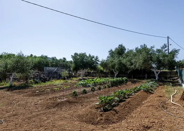 Casolare Di Costas Willa Argostoli (Kefalonia)